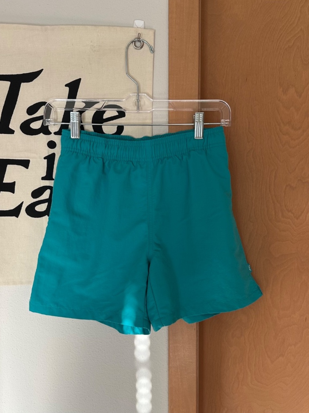 Aritzia TNA Turquoise Shorts